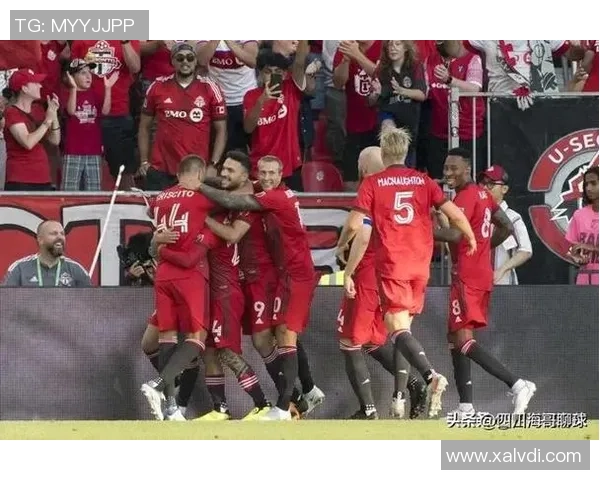 005尼斯与图卢兹的精彩对决谁能在法甲赛场上笑到最后