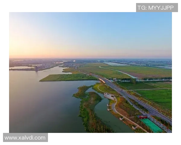 伐木者与盐城湖的对抗：生态保护与资源开发的博弈与思考