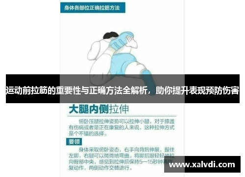 运动前拉筋的重要性与正确方法全解析，助你提升表现预防伤害
