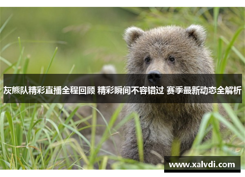 灰熊队精彩直播全程回顾 精彩瞬间不容错过 赛季最新动态全解析