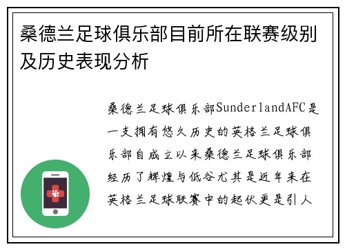 桑德兰足球俱乐部目前所在联赛级别及历史表现分析