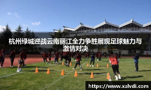 ld乐动官方网站