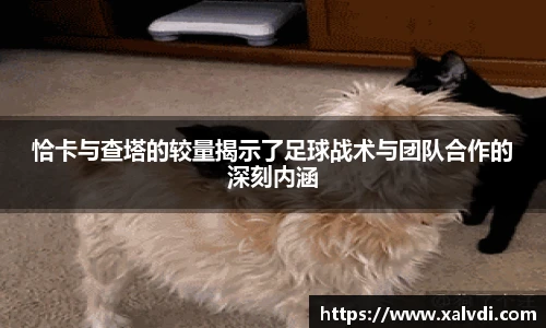 ld乐动手机下载