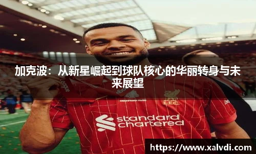 ld乐动手机下载